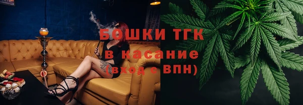 индика Аркадак