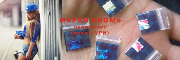 индика Аркадак