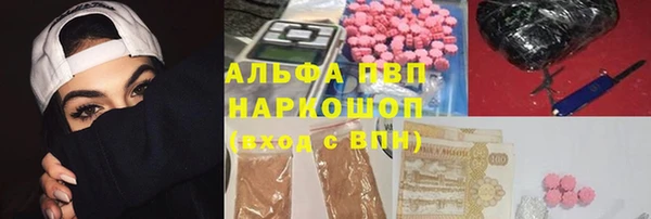 индика Аркадак