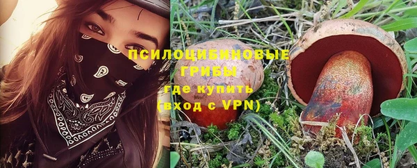 индика Аркадак