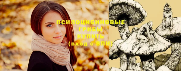 индика Аркадак