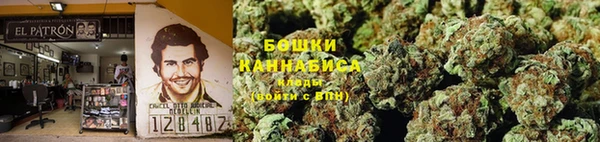 индика Аркадак