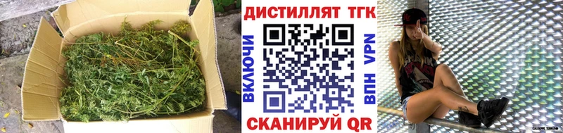 как найти   Гороховец  Дистиллят ТГК концентрат 