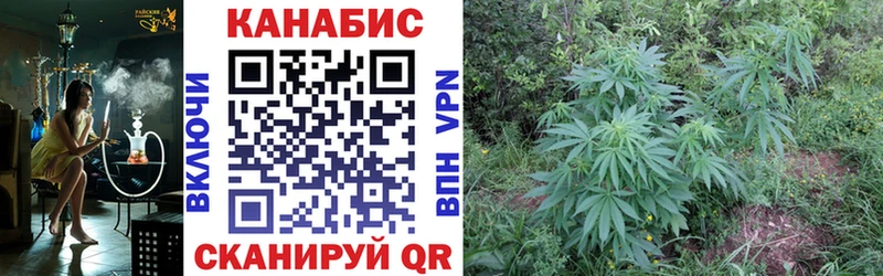 купить  цена  Гороховец  МАРИХУАНА SATIVA & INDICA 
